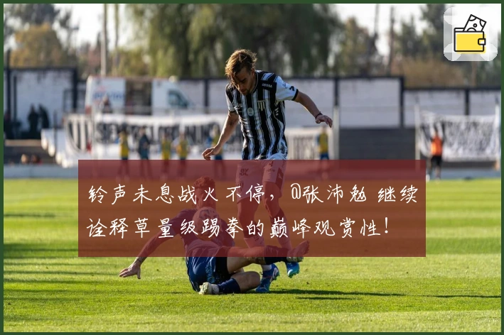 铃声未息战火不停，@张沛勉 继续诠释草量级踢拳的巅峰观赏性！