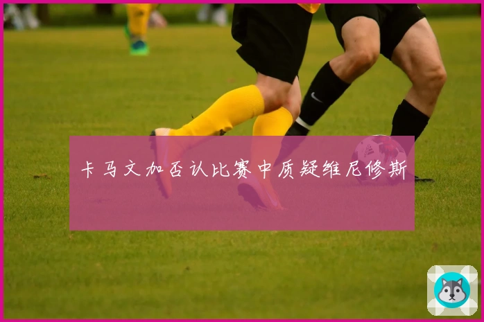 卡马文加否认比赛中质疑维尼修斯