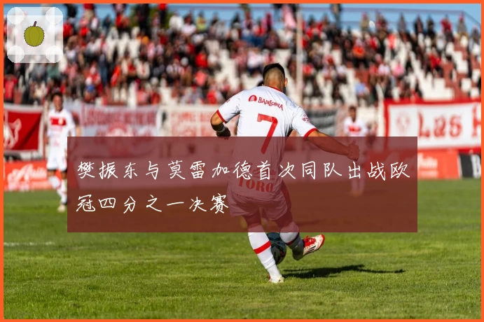 樊振东与莫雷加德首次同队出战欧冠四分之一决赛